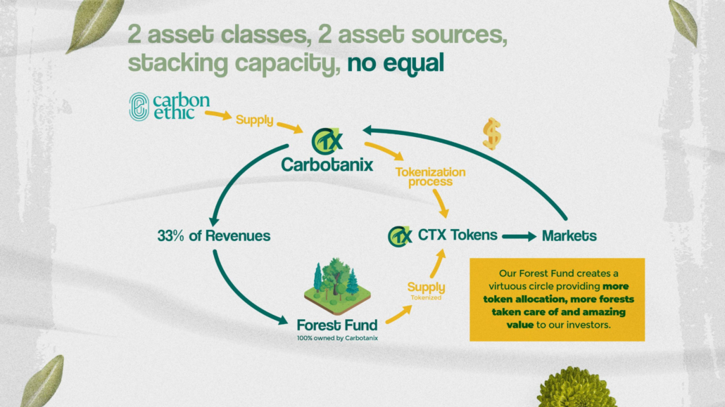 Carbotanix asset and source diagram graphic
